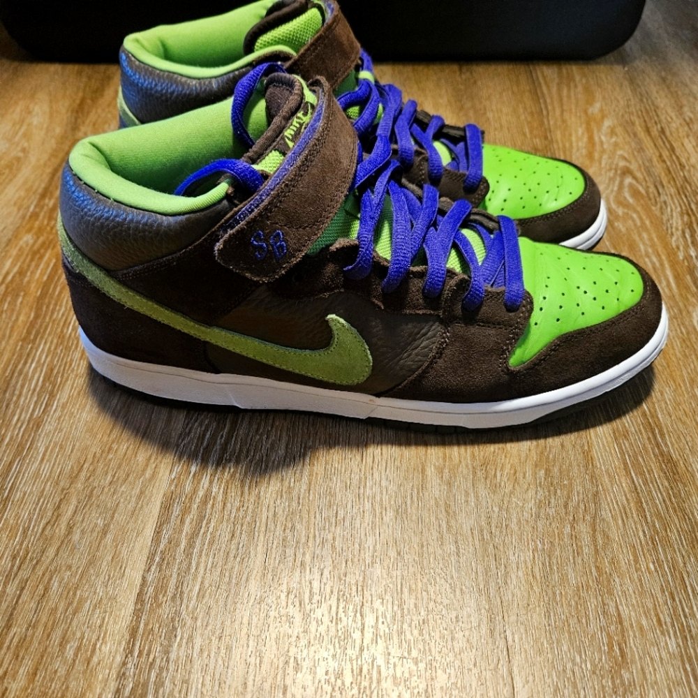 2004 Nike Dunks Donetello's